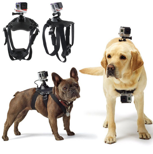 Capture the Canine Perspective: GoPro Hero Dog Strap Belt Harness for Pet Adventures!